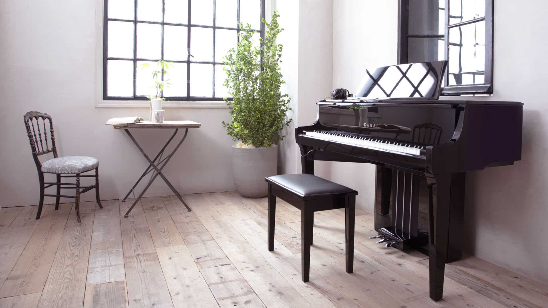 Kawai NV10S Location